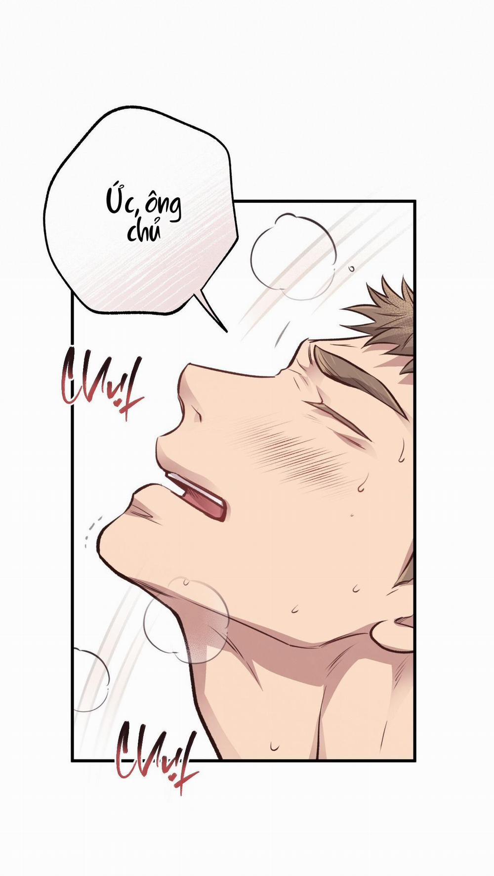 Honey Bear 27 trang 23