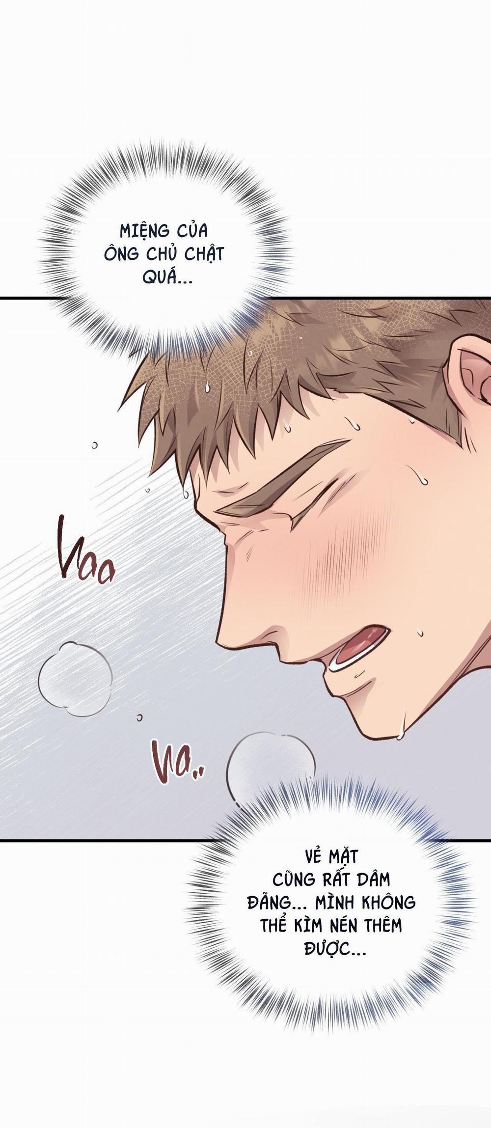 Honey Bear 27 trang 25