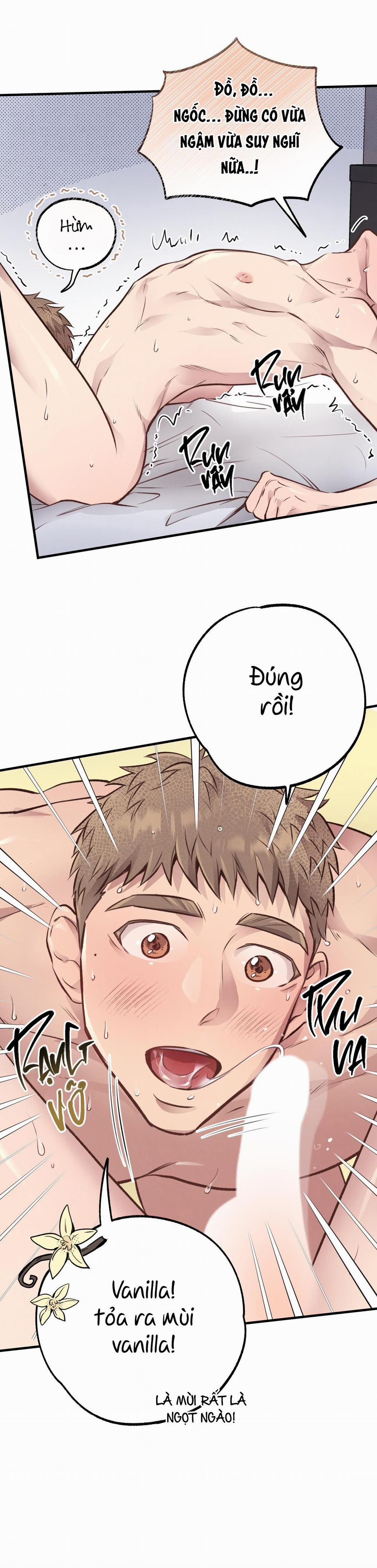 Honey Bear 27 trang 41