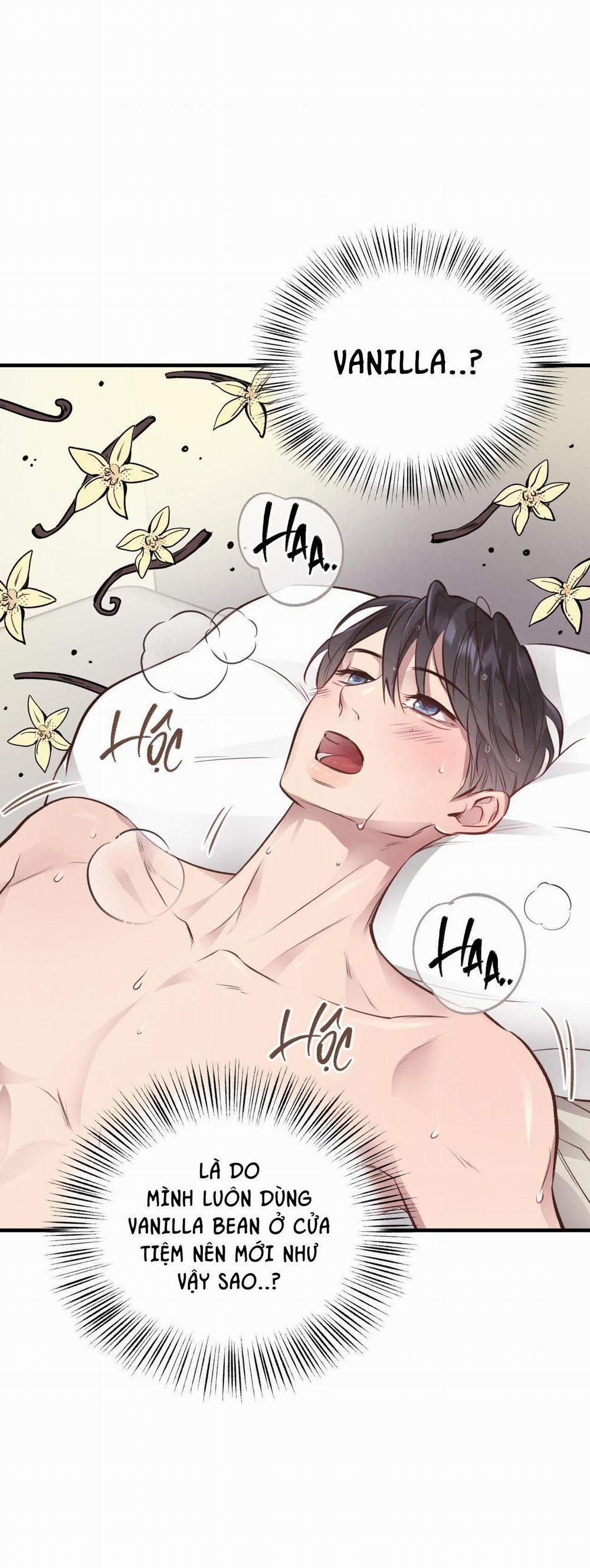 Honey Bear 27 trang 42