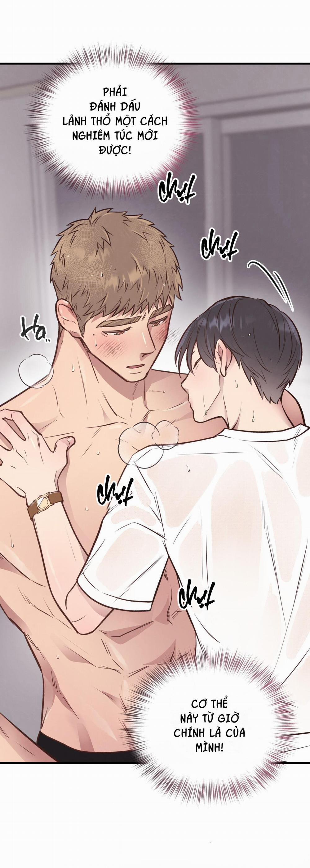 Honey Bear 27 trang 5