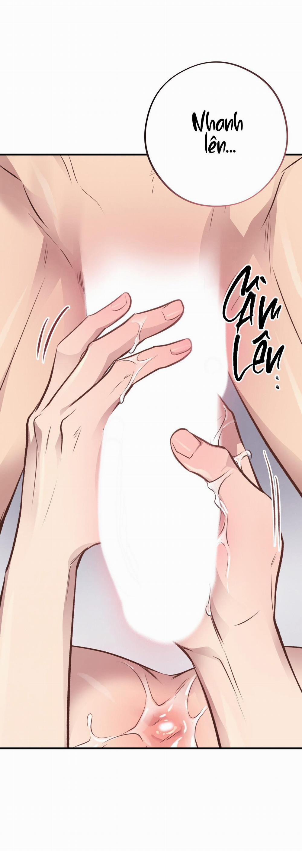 Honey Bear 27 trang 55