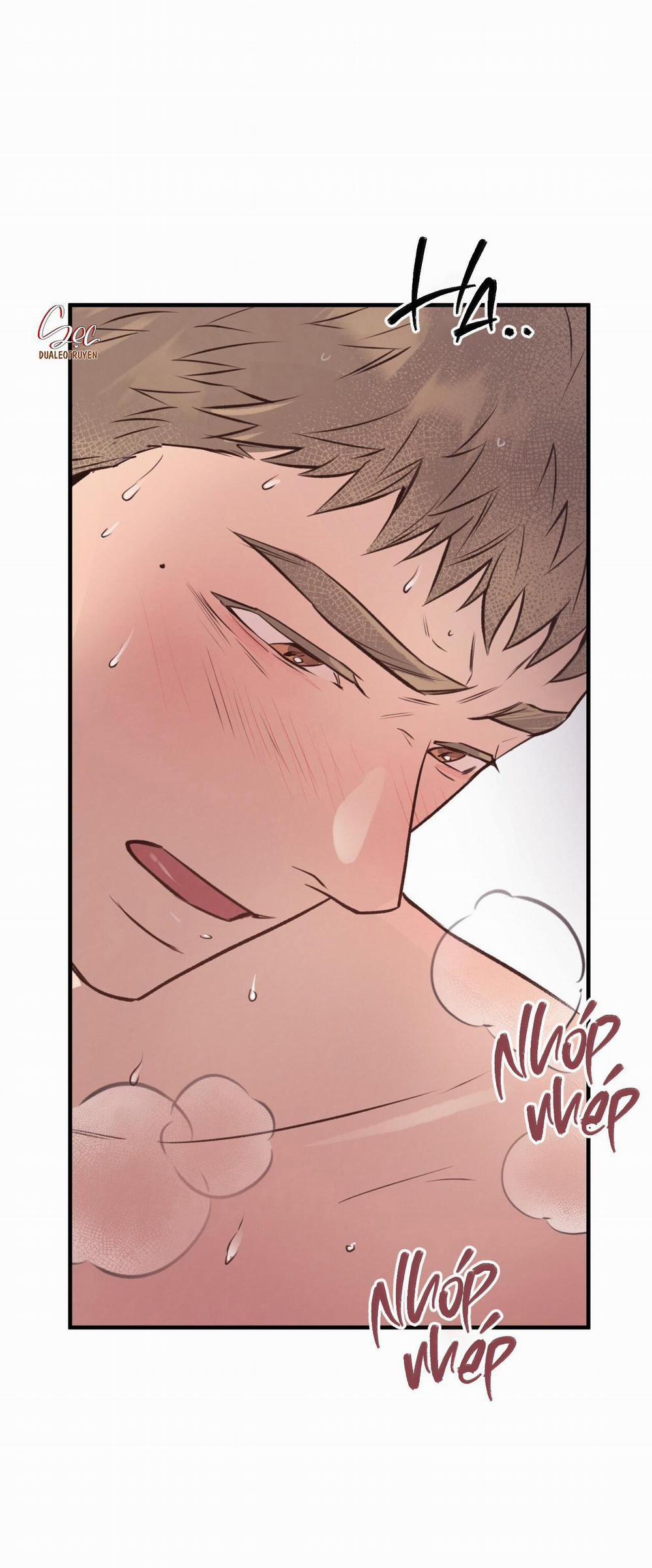 Honey Bear 27 trang 57