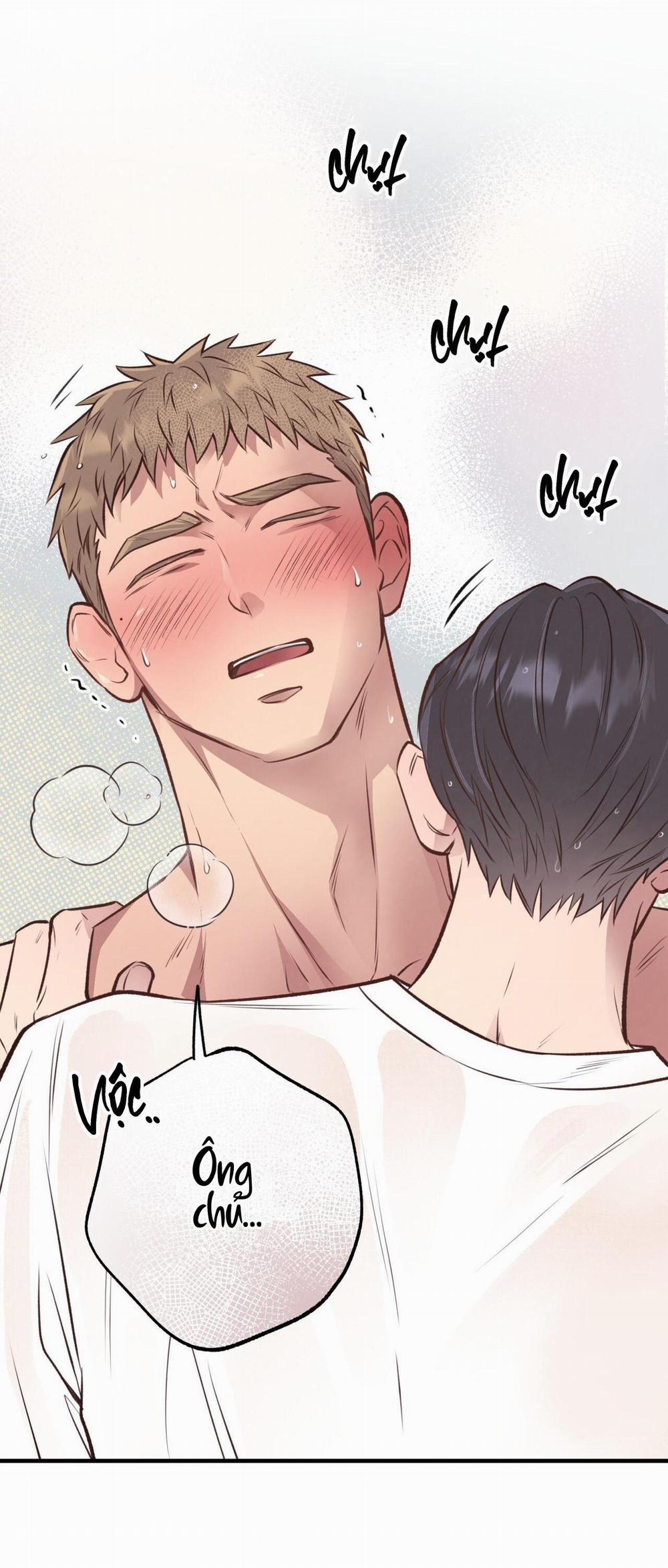 Honey Bear 27 trang 6