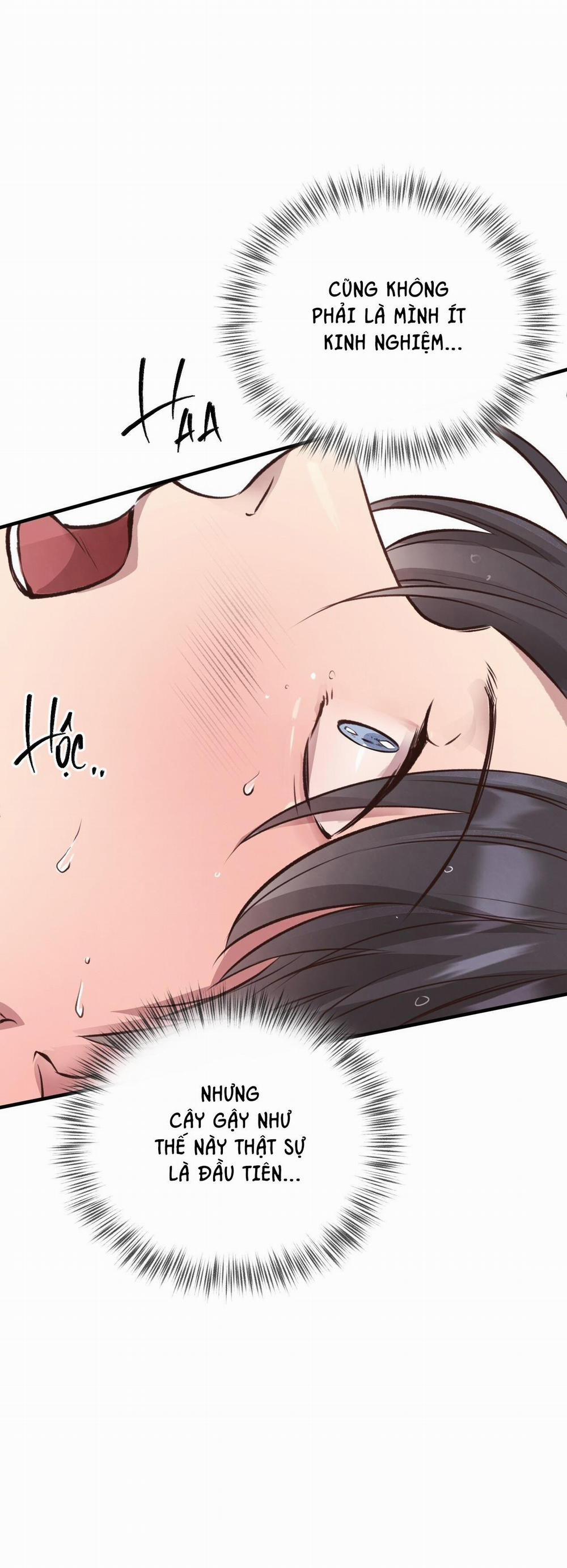 Honey Bear 27 trang 61