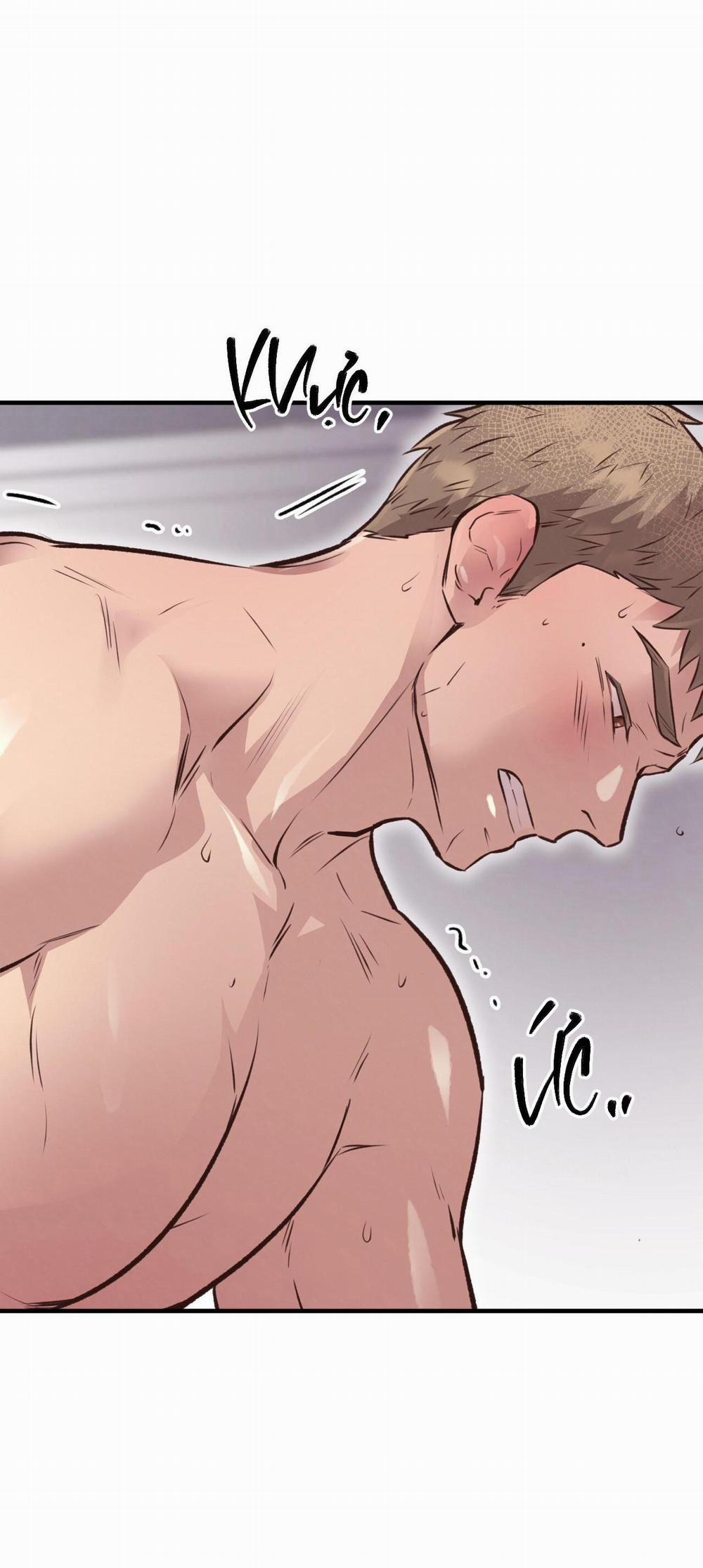 Honey Bear 27 trang 62