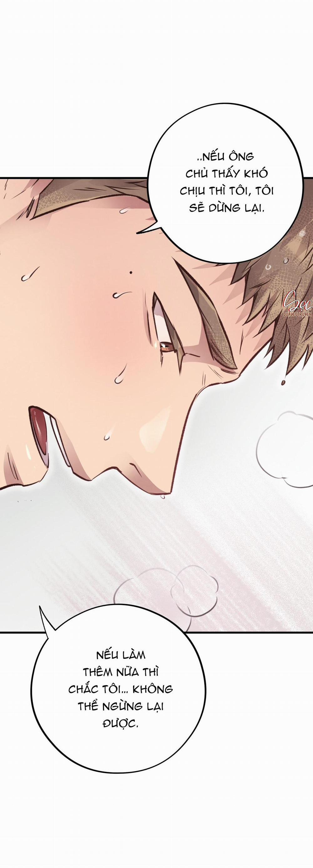 Honey Bear 27 trang 65