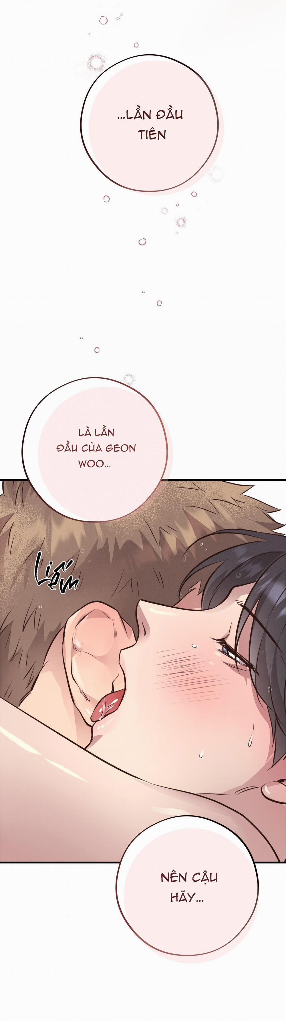 Honey Bear 27 trang 67