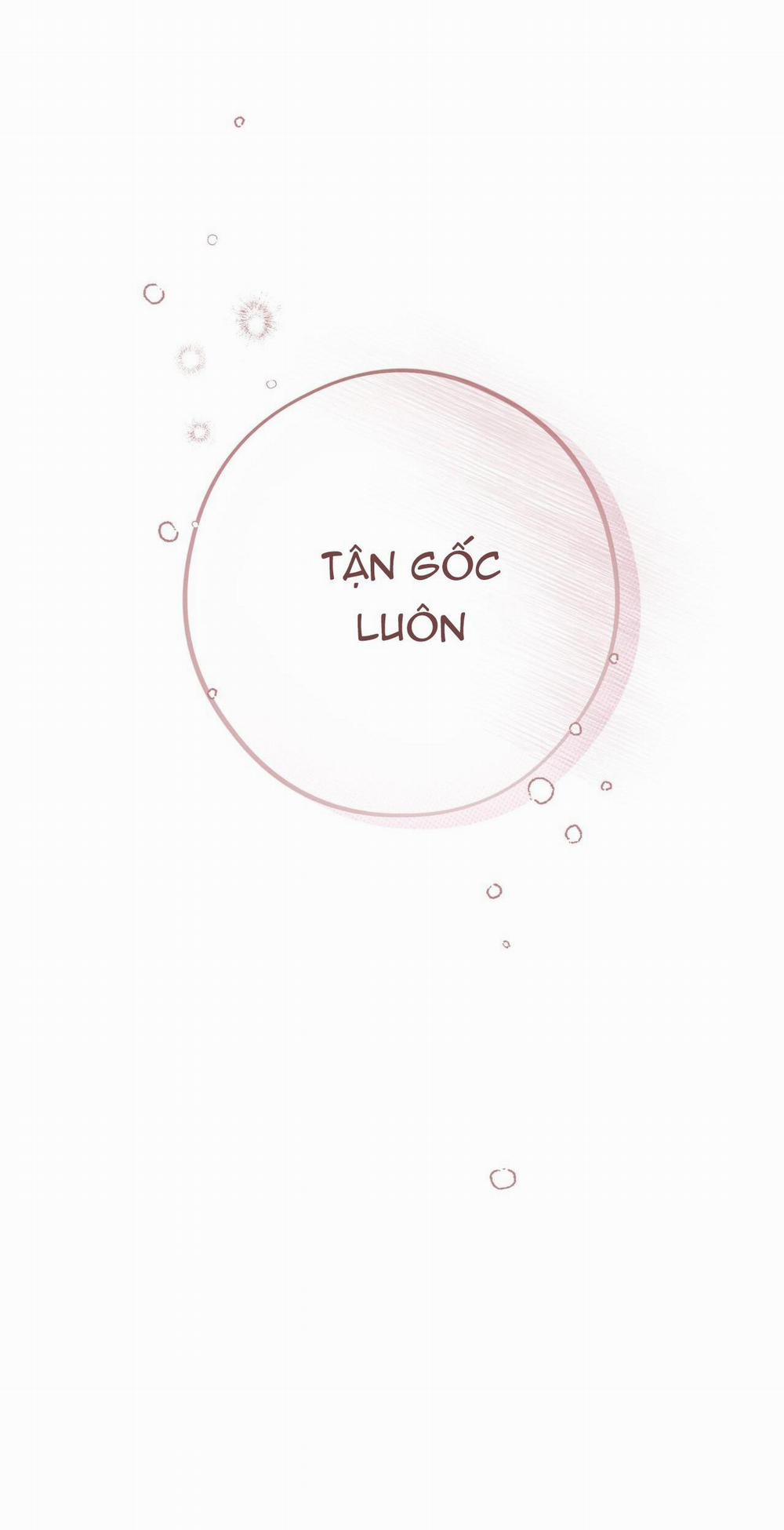 Honey Bear 27 trang 69