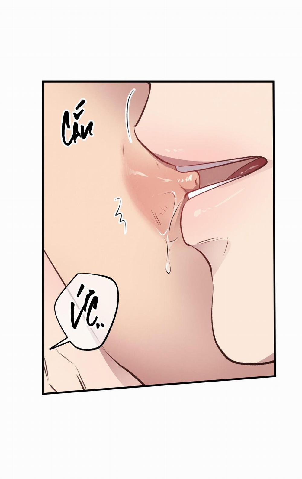 Honey Bear 27 trang 9