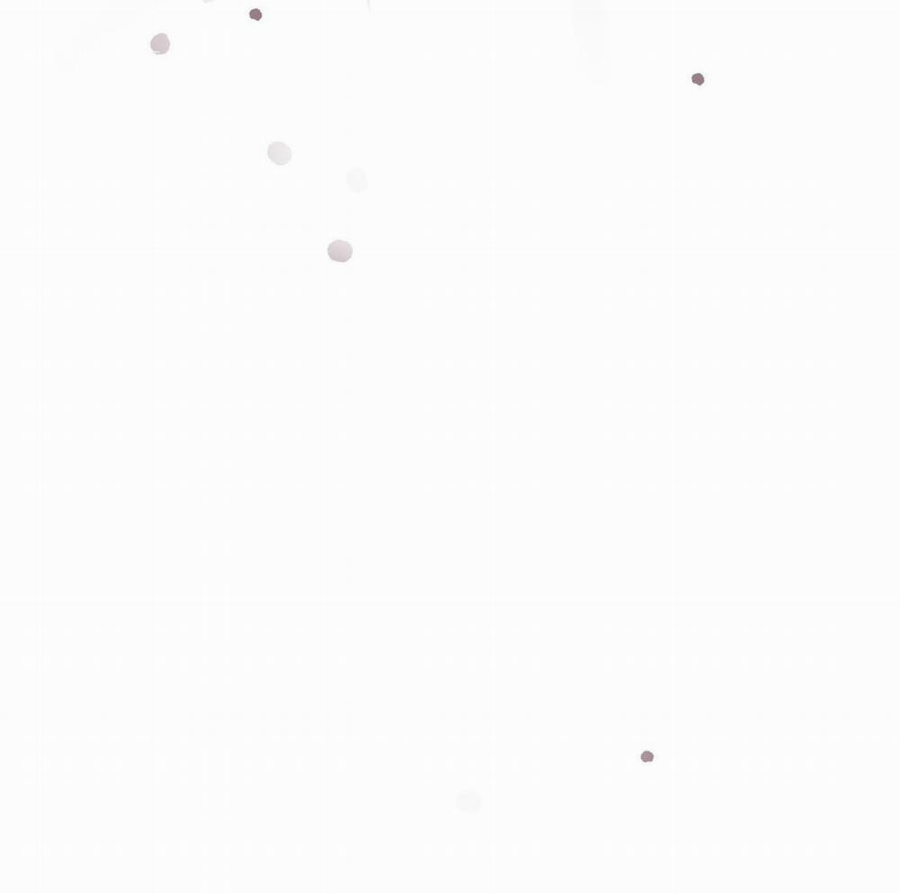 Honey Bear 28 trang 12