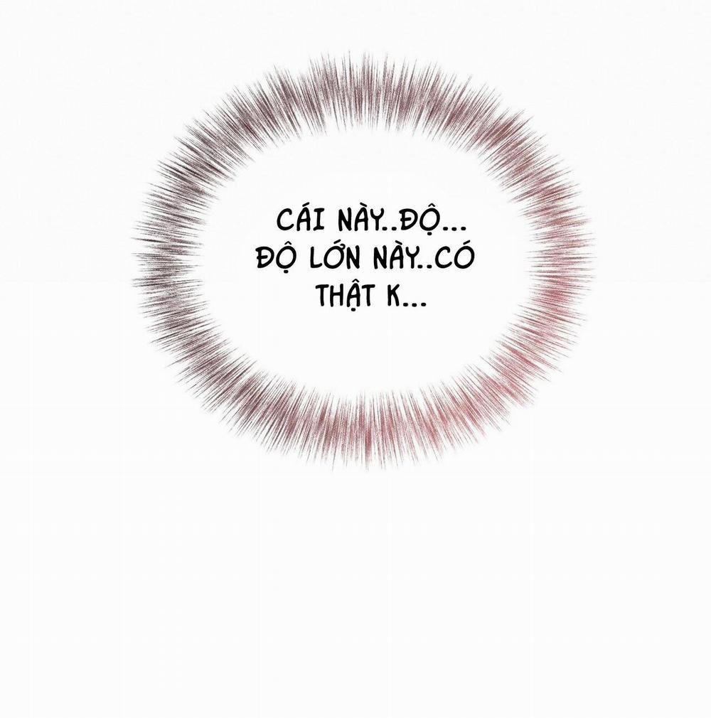 Honey Bear 28 trang 17