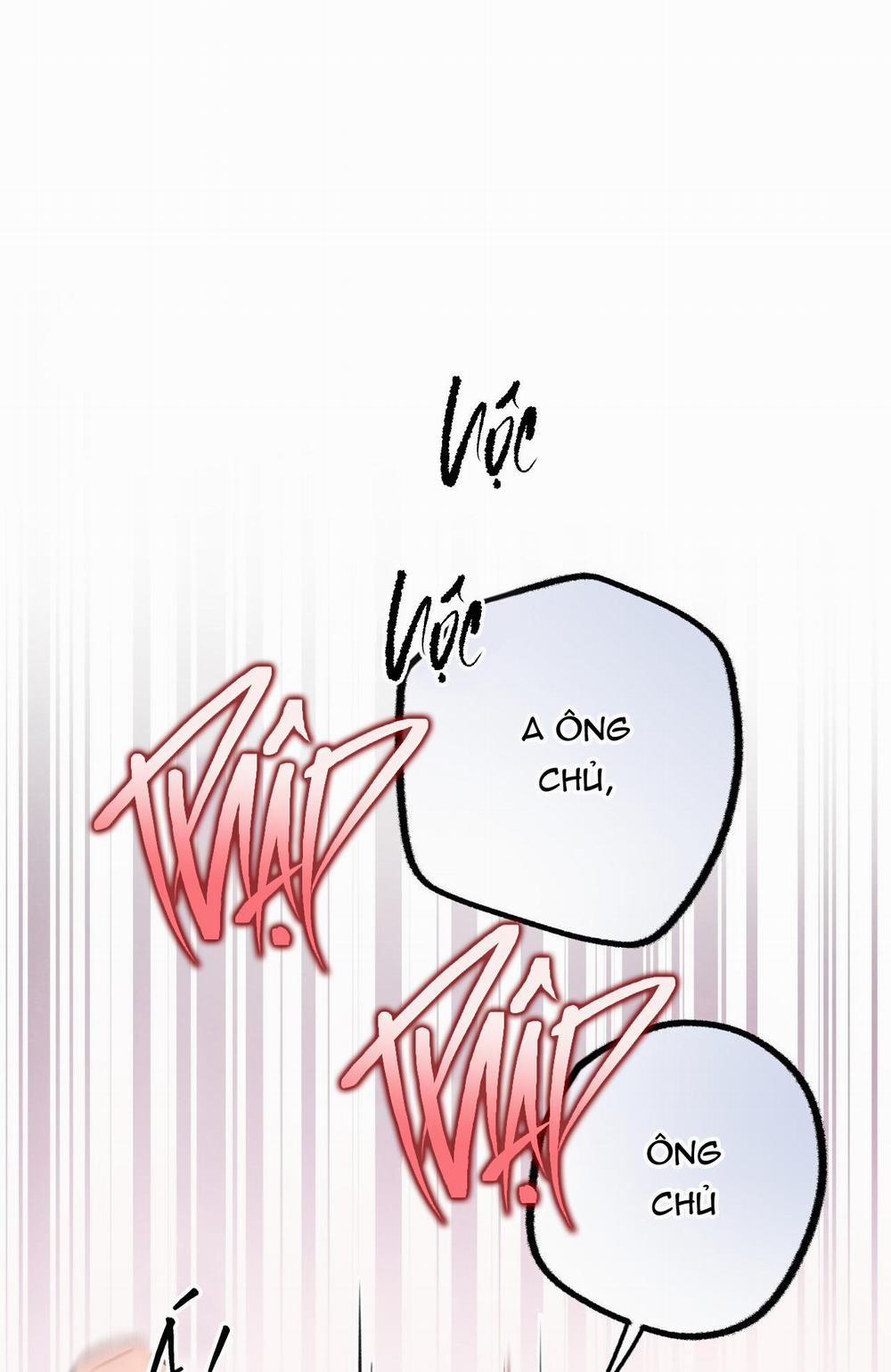 Honey Bear 28 trang 21