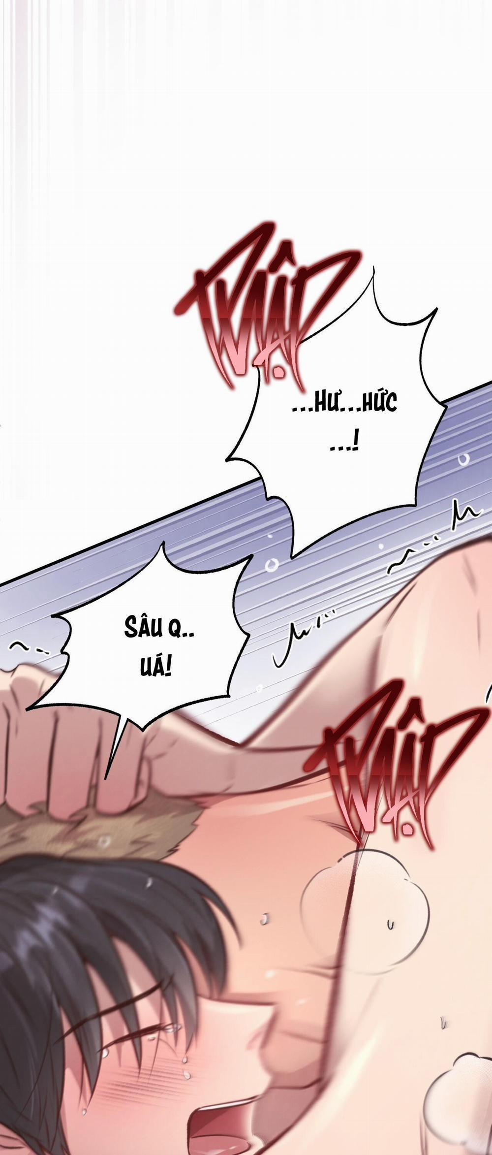 Honey Bear 28 trang 23