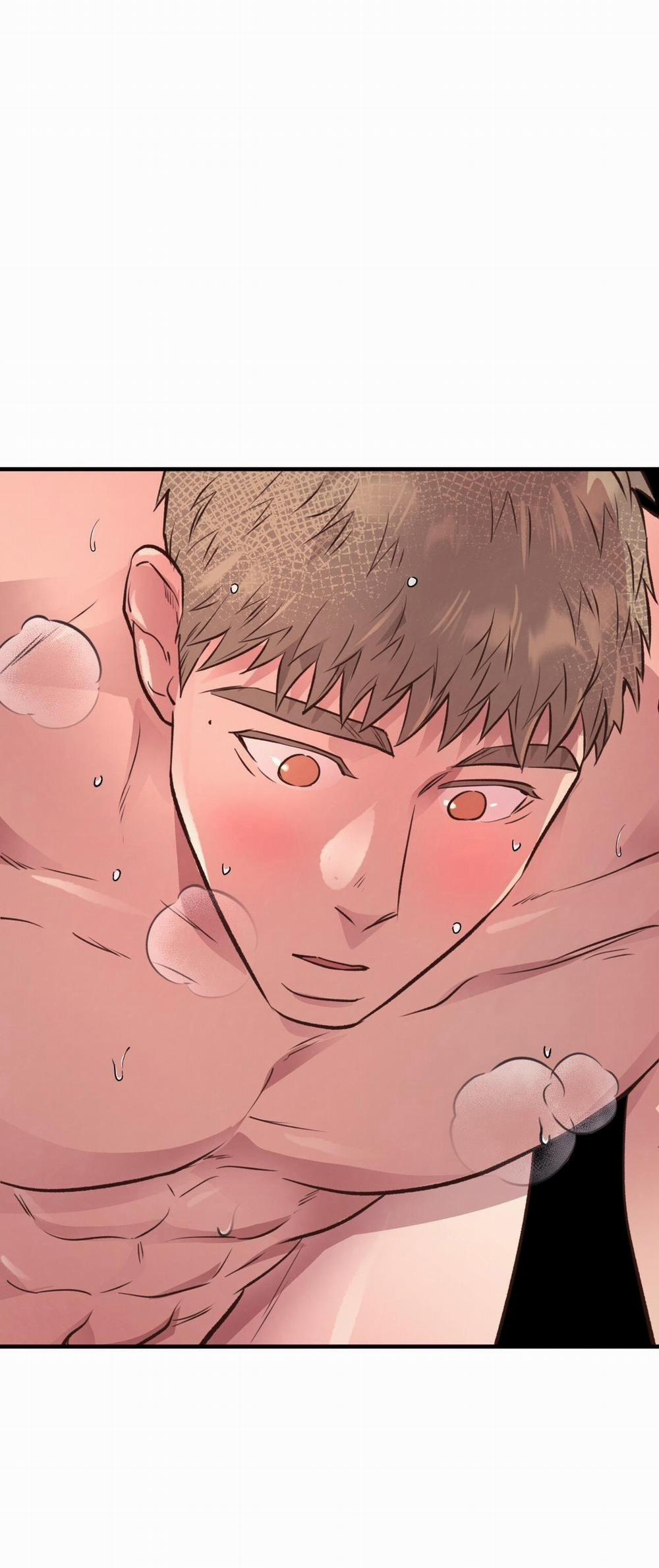 Honey Bear 28 trang 31