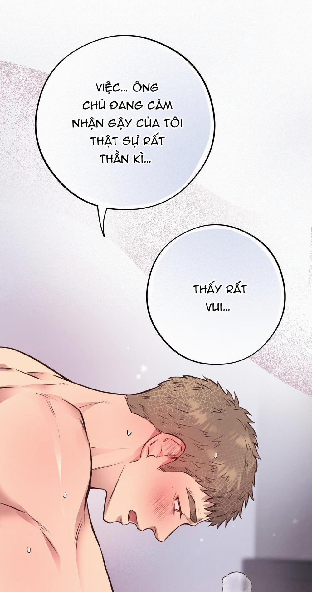 Honey Bear 28 trang 36