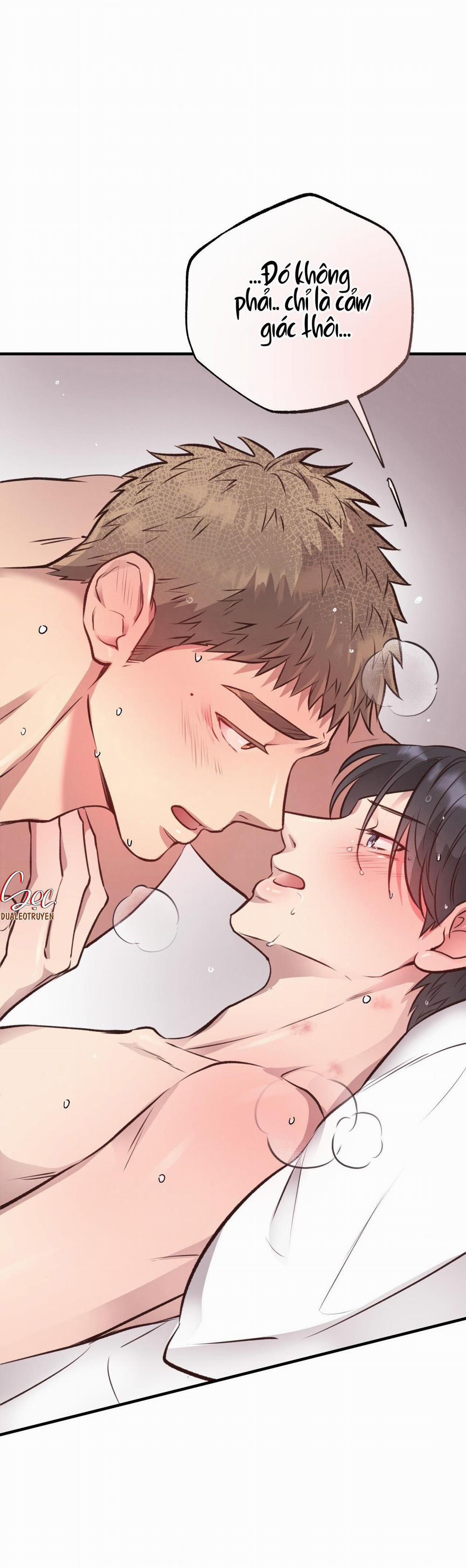 Honey Bear 28 trang 39