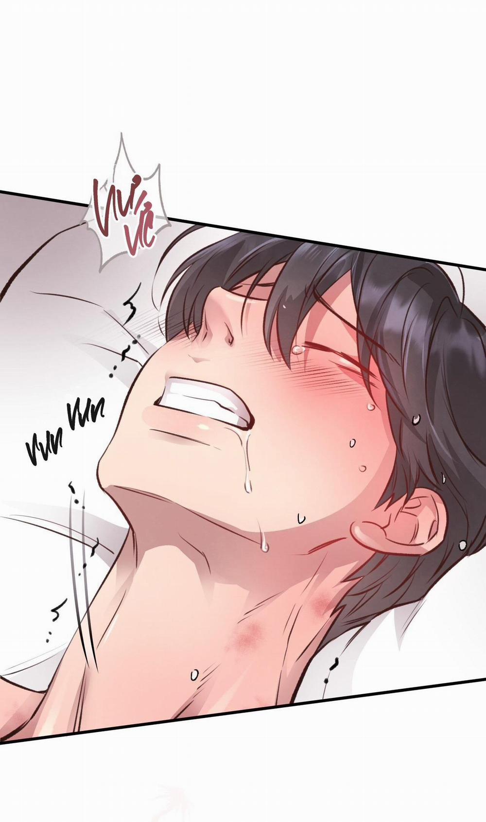 Honey Bear 28 trang 41