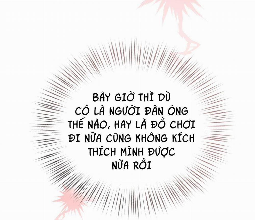 Honey Bear 28 trang 43