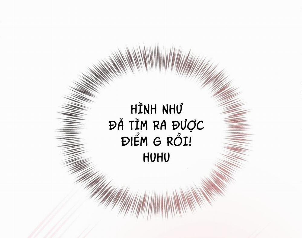 Honey Bear 28 trang 45