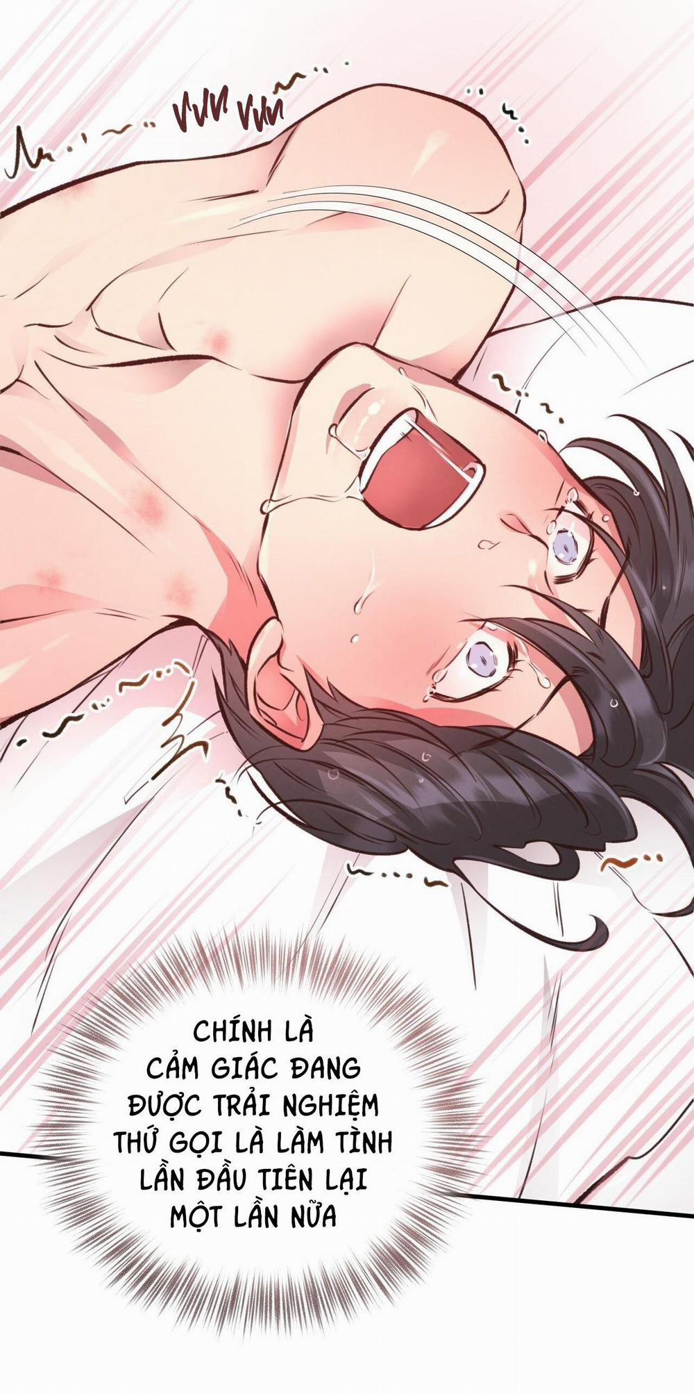 Honey Bear 28 trang 46