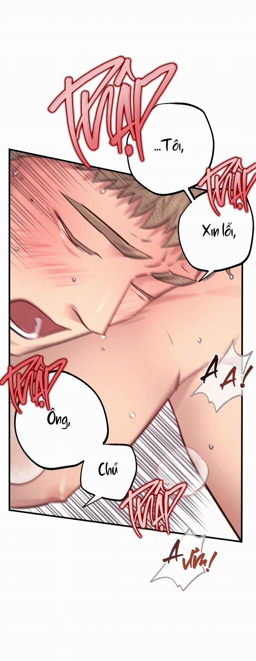 Honey Bear 28 trang 48