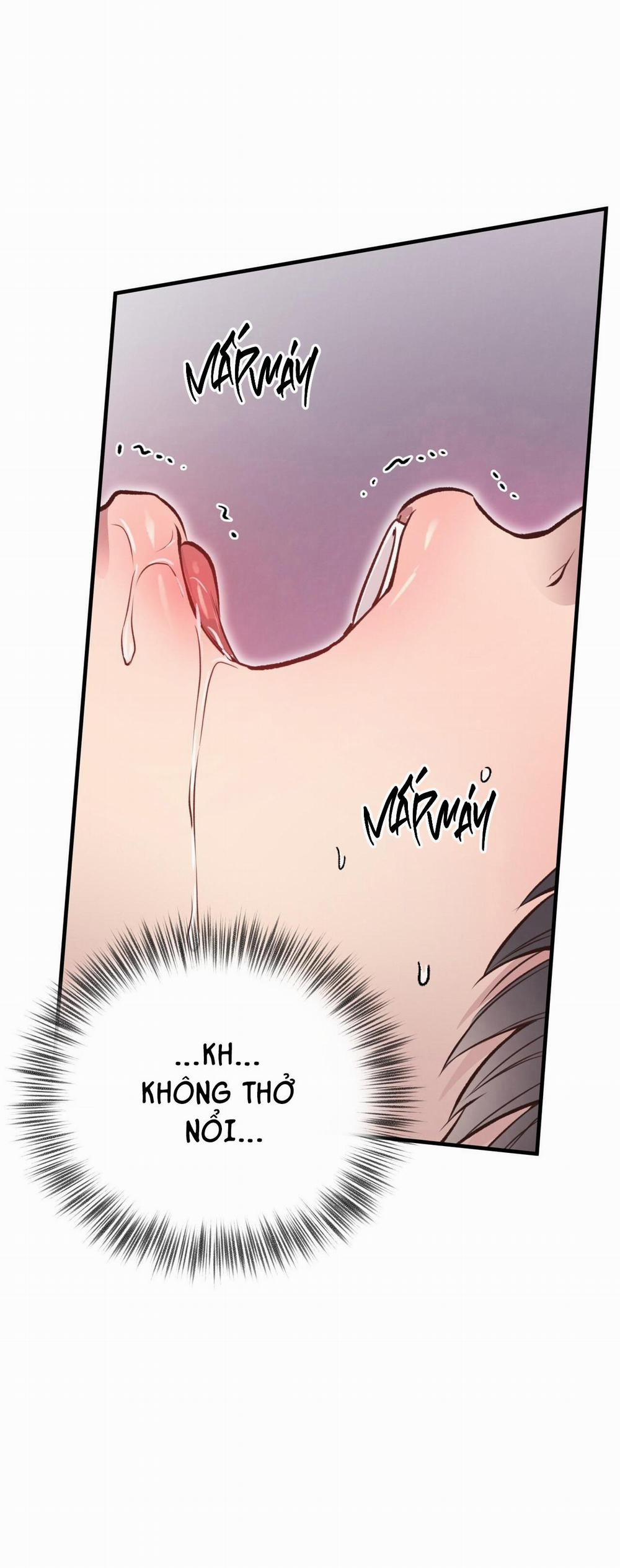 Honey Bear 28 trang 5