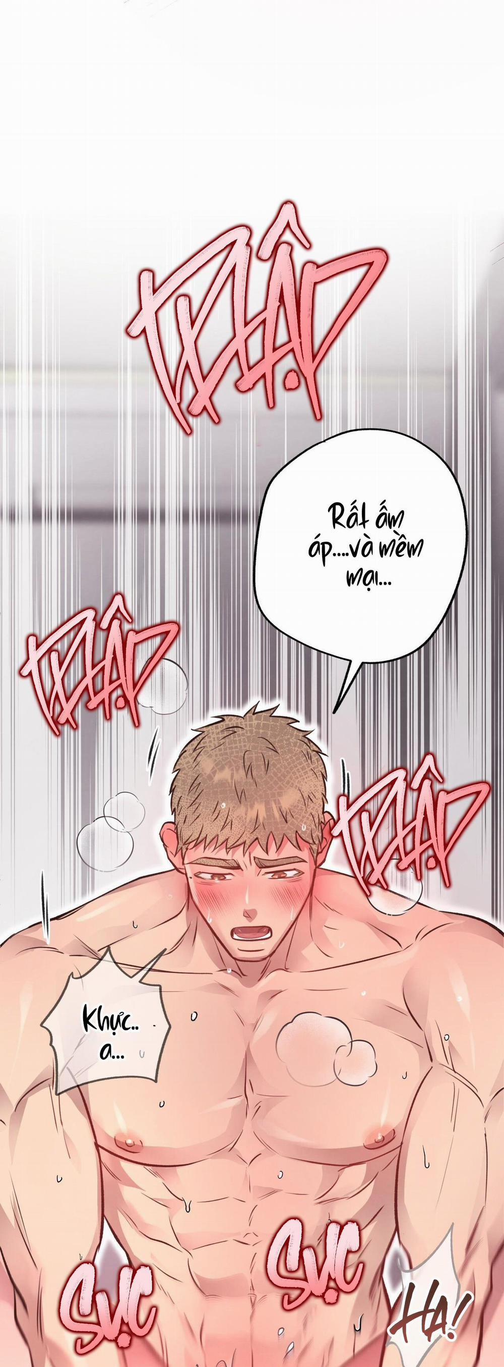 Honey Bear 28 trang 50