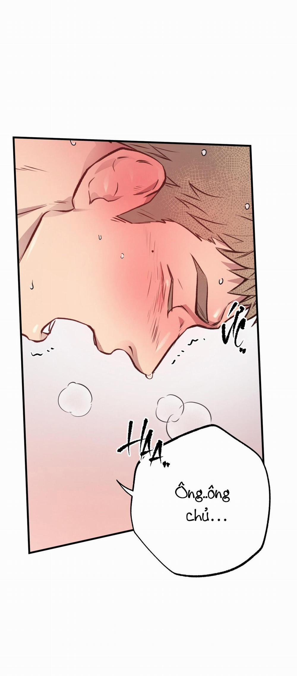 Honey Bear 28 trang 6