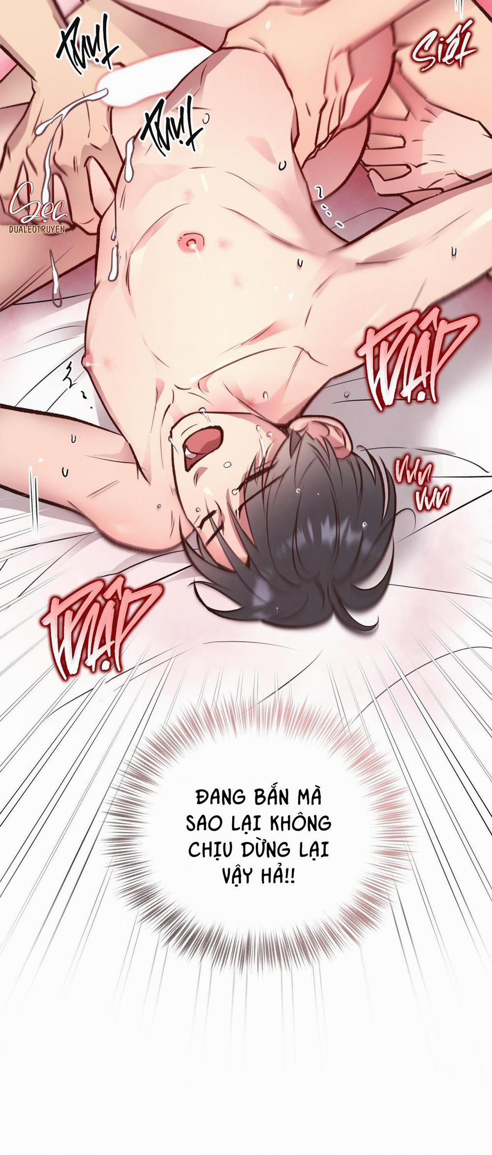 Honey Bear 28 trang 64