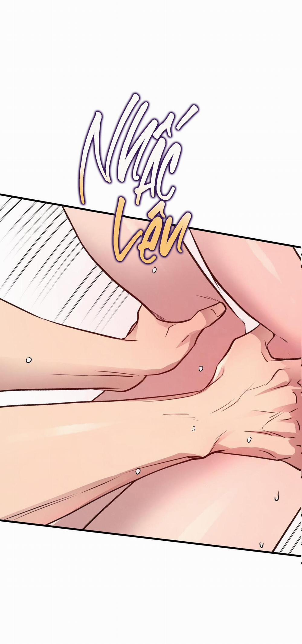 Honey Bear 28 trang 65