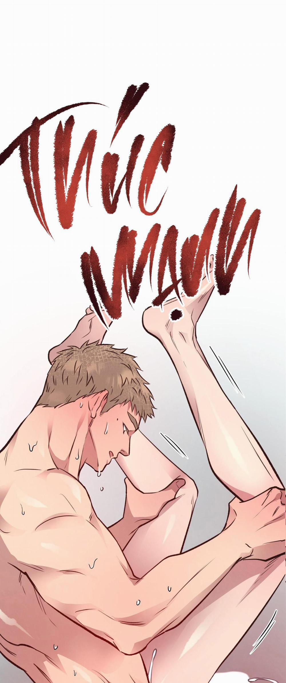 Honey Bear 28 trang 66