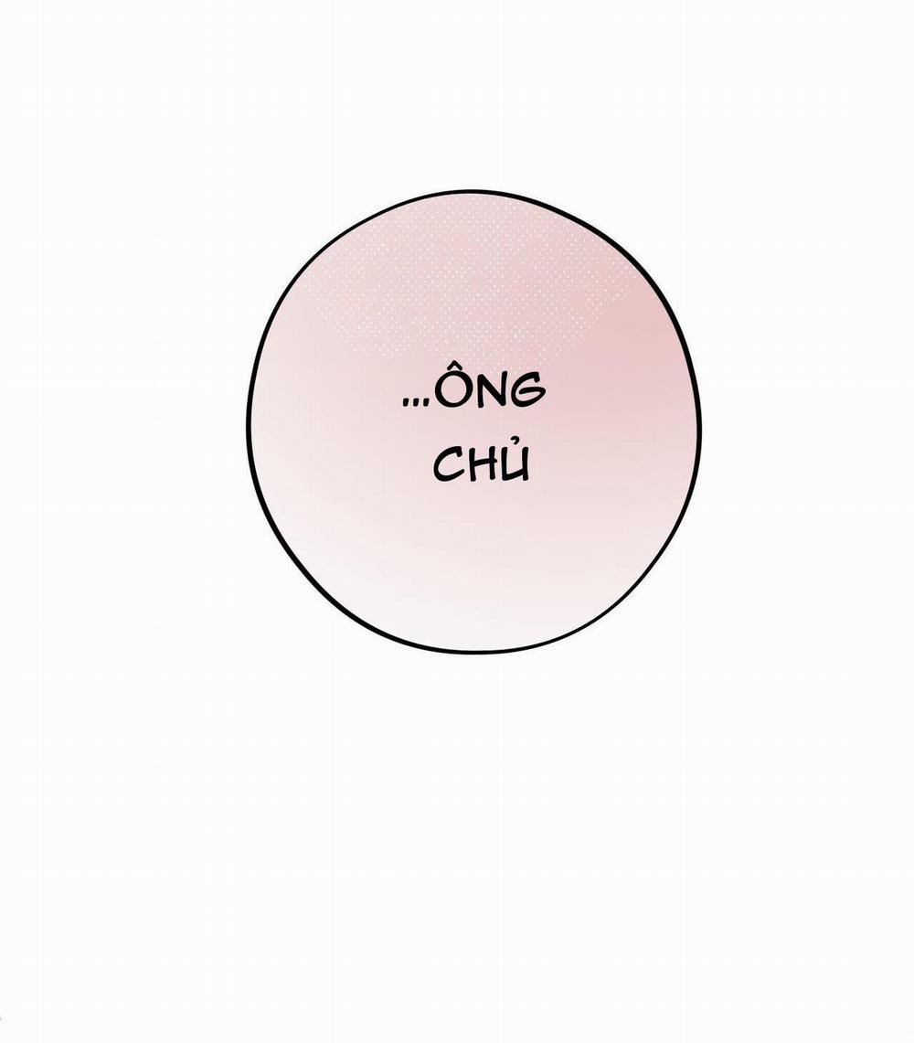 Honey Bear 28 trang 81