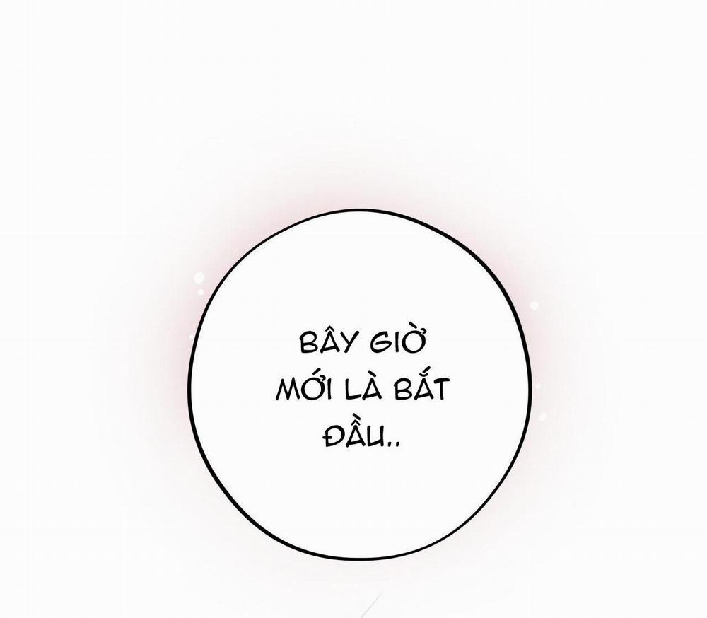 Honey Bear 28 trang 83