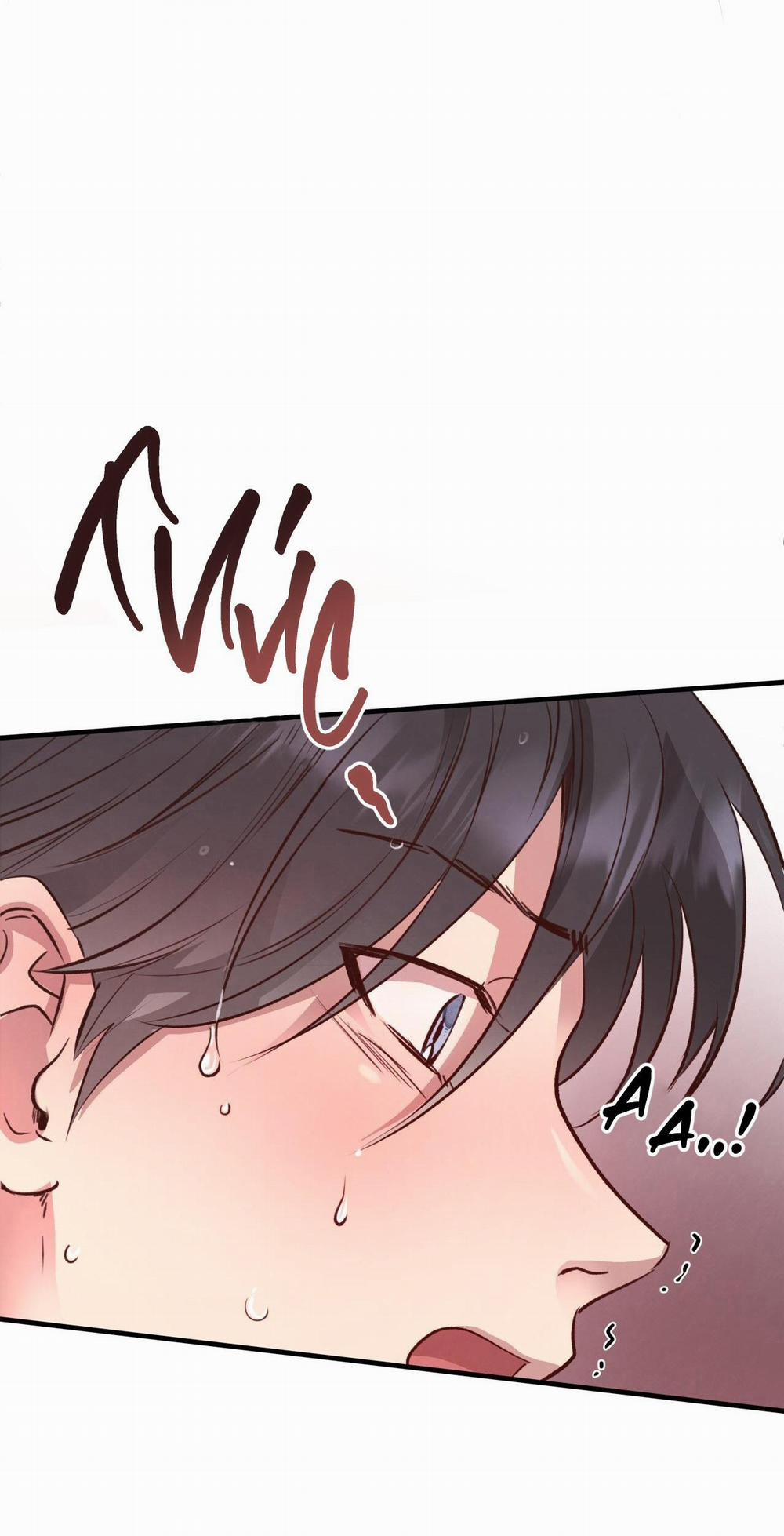 Honey Bear 28 trang 85