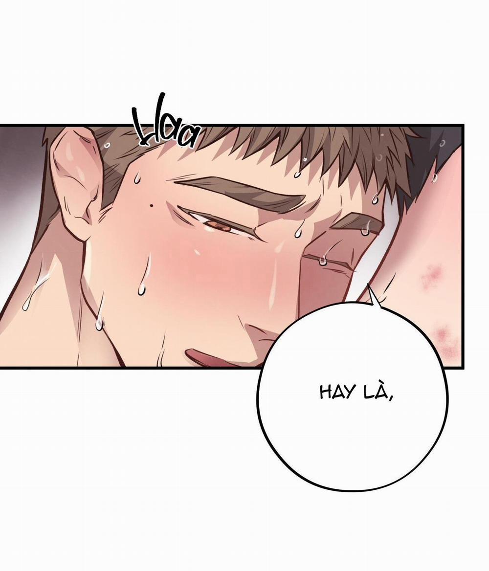 Honey Bear 29 trang 10