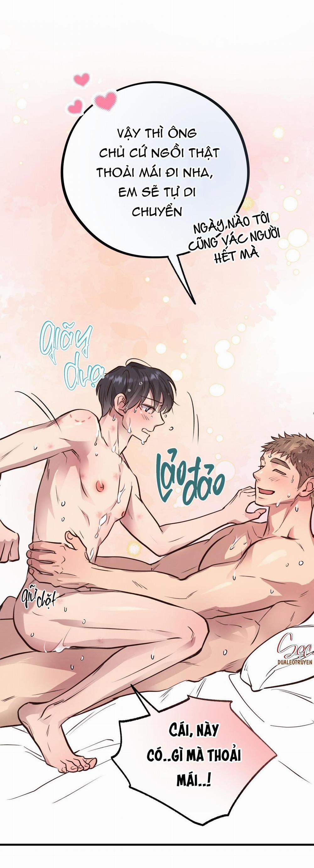 Honey Bear 29 trang 21