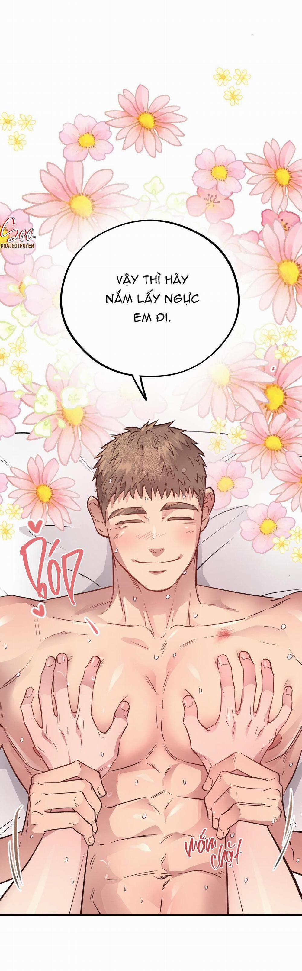 Honey Bear 29 trang 23