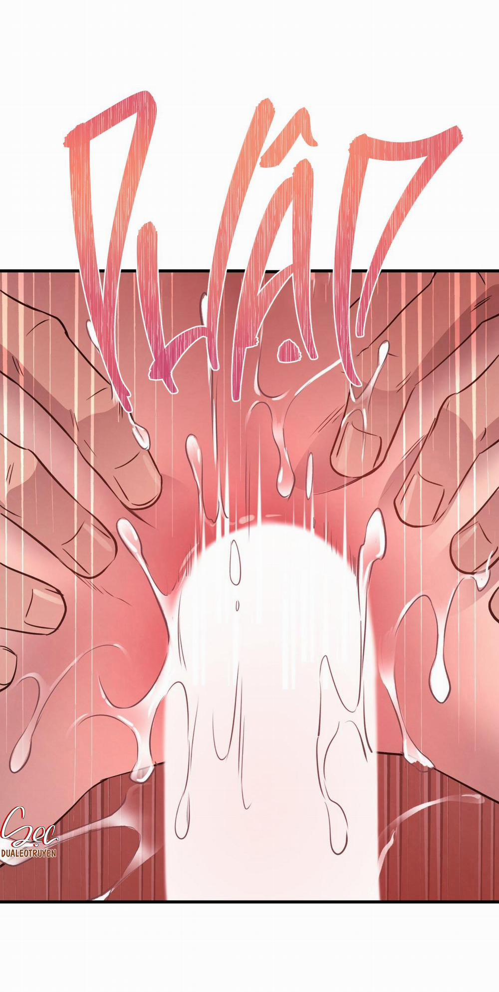 Honey Bear 29 trang 27