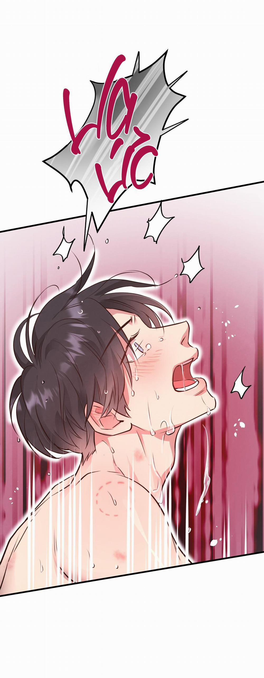 Honey Bear 29 trang 28