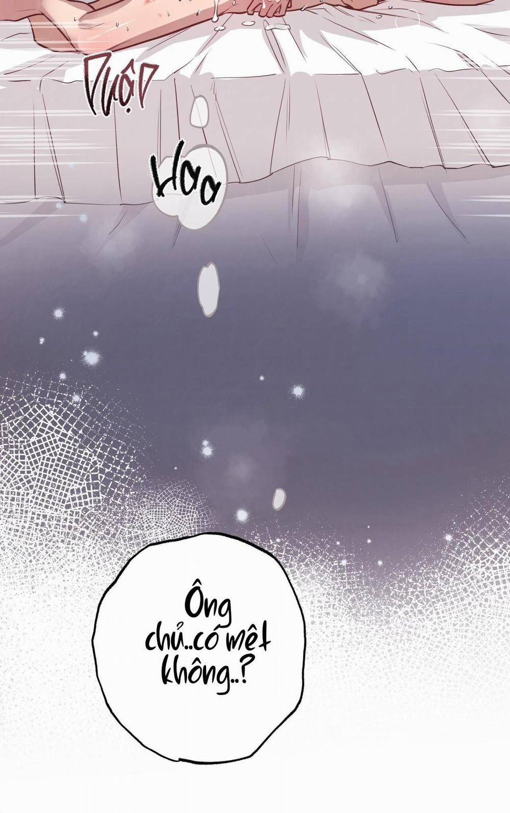 Honey Bear 29 trang 4