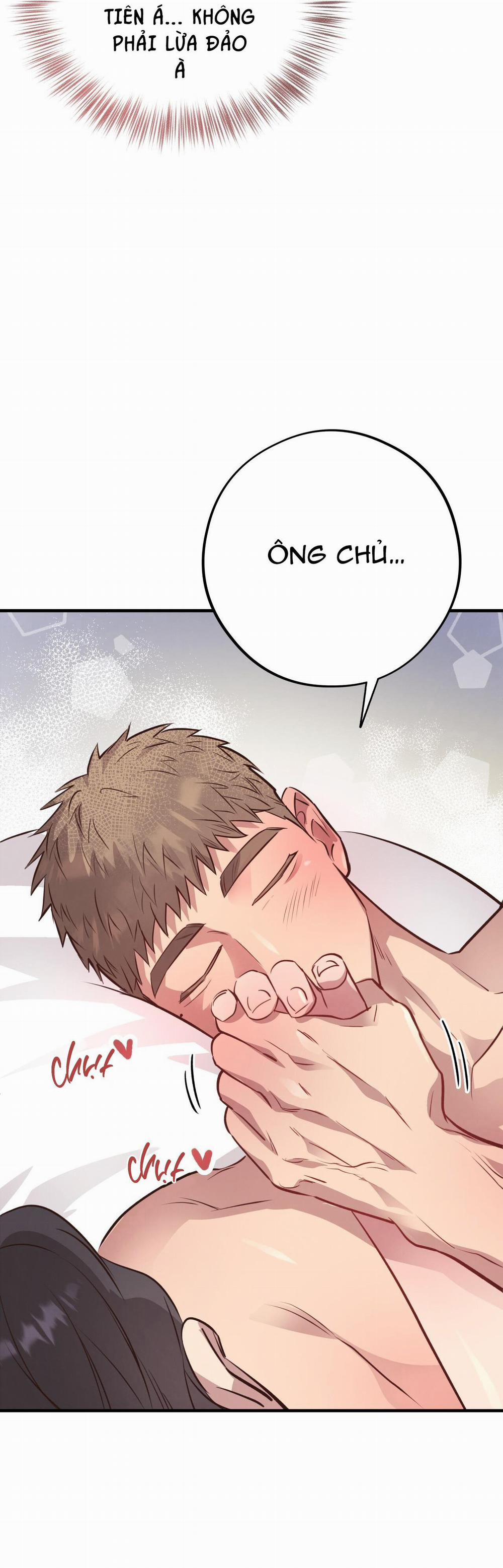 Honey Bear 29 trang 40