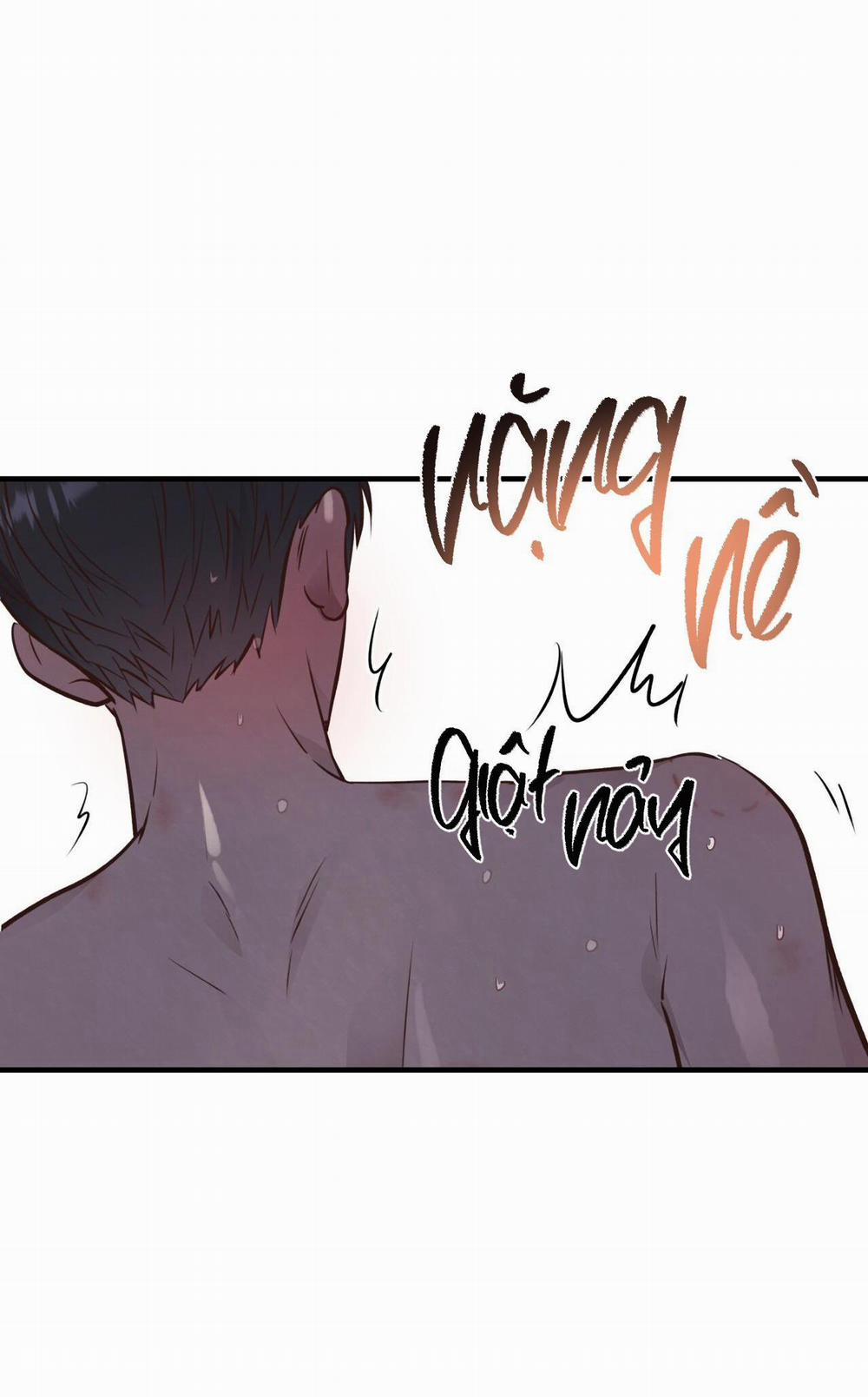 Honey Bear 29 trang 45