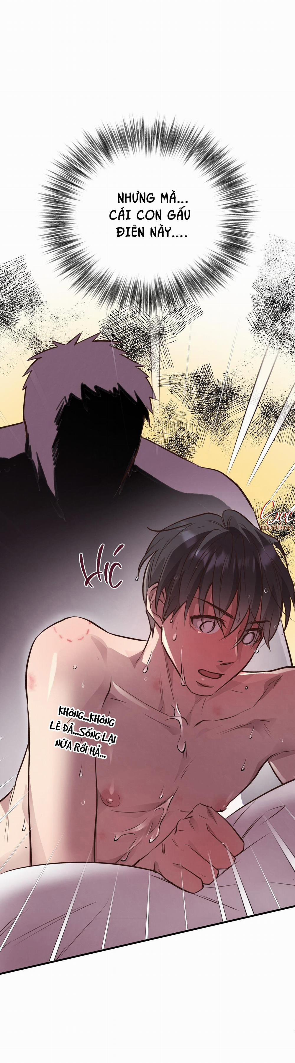 Honey Bear 29 trang 46