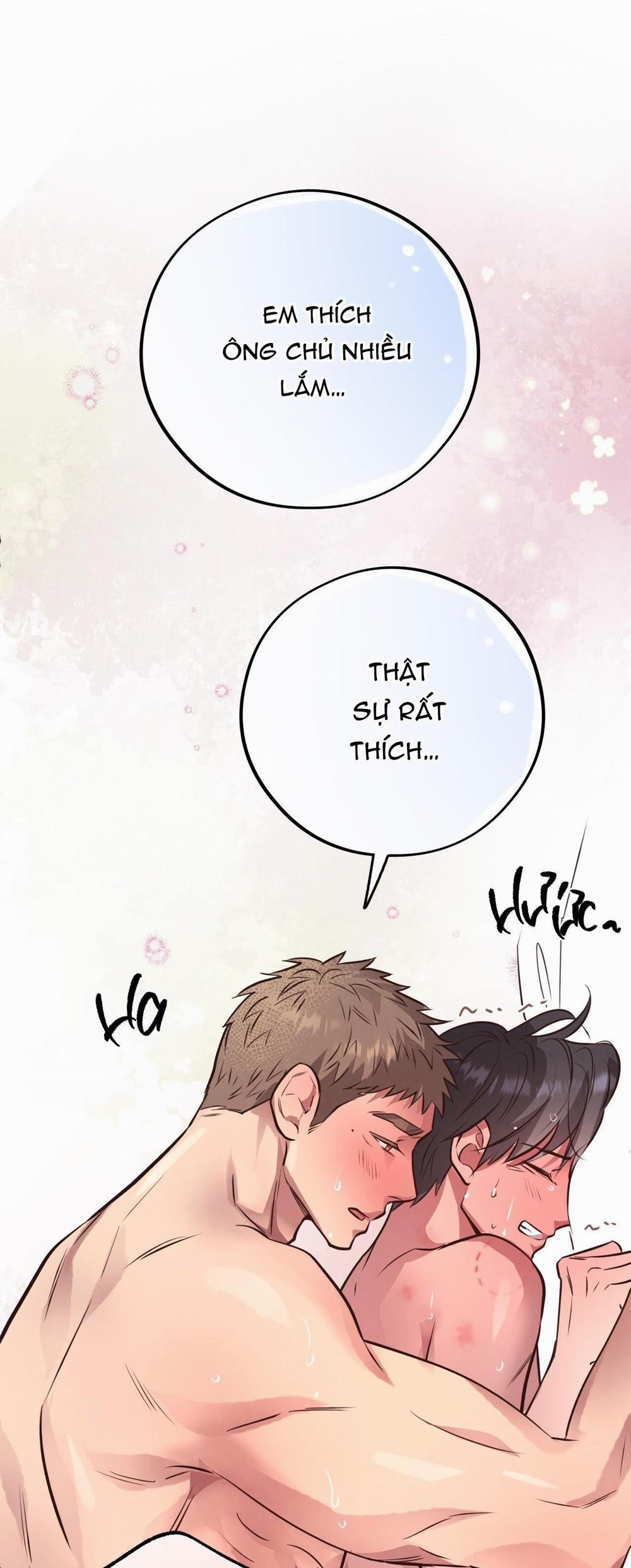 Honey Bear 29 trang 47