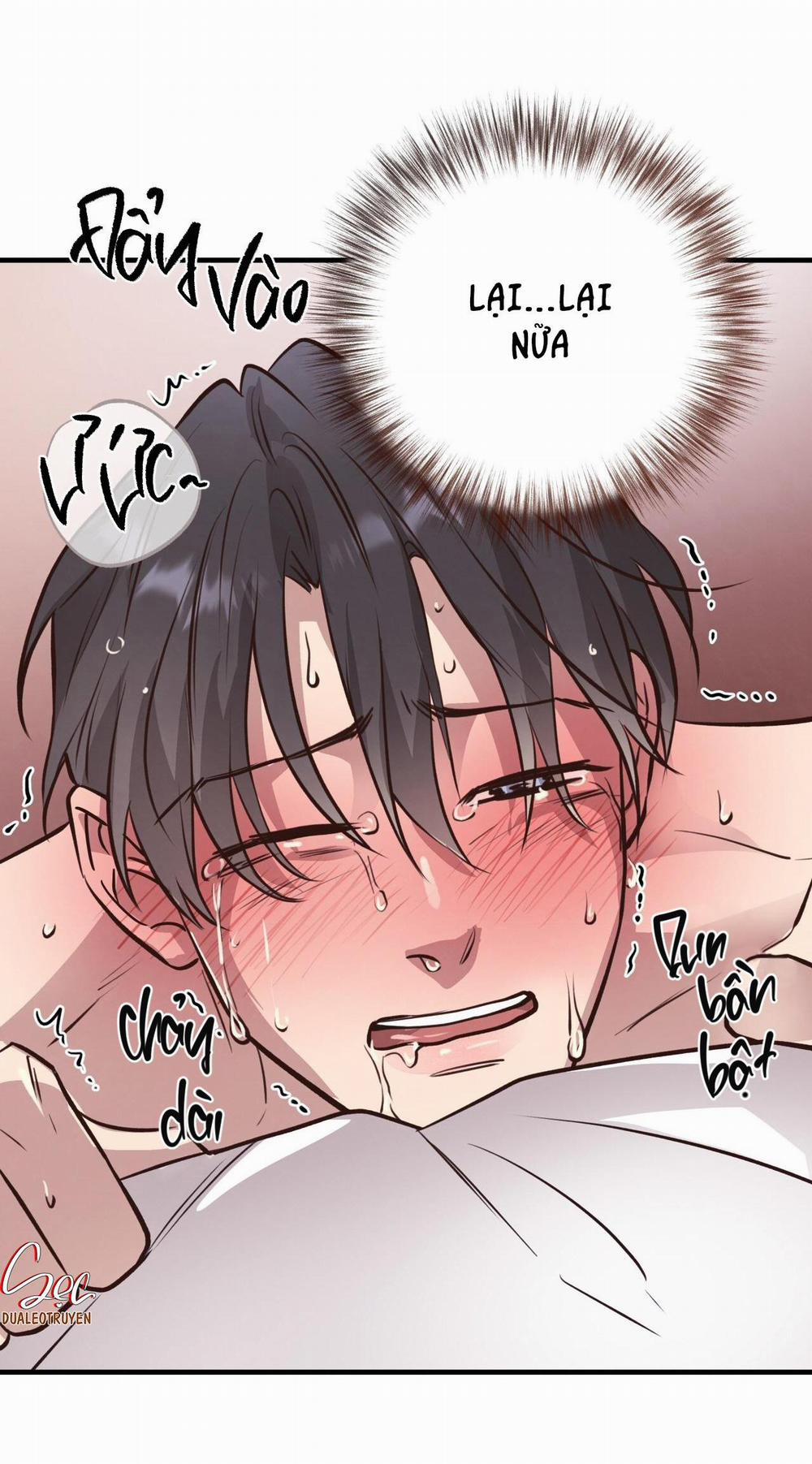 Honey Bear 29 trang 49