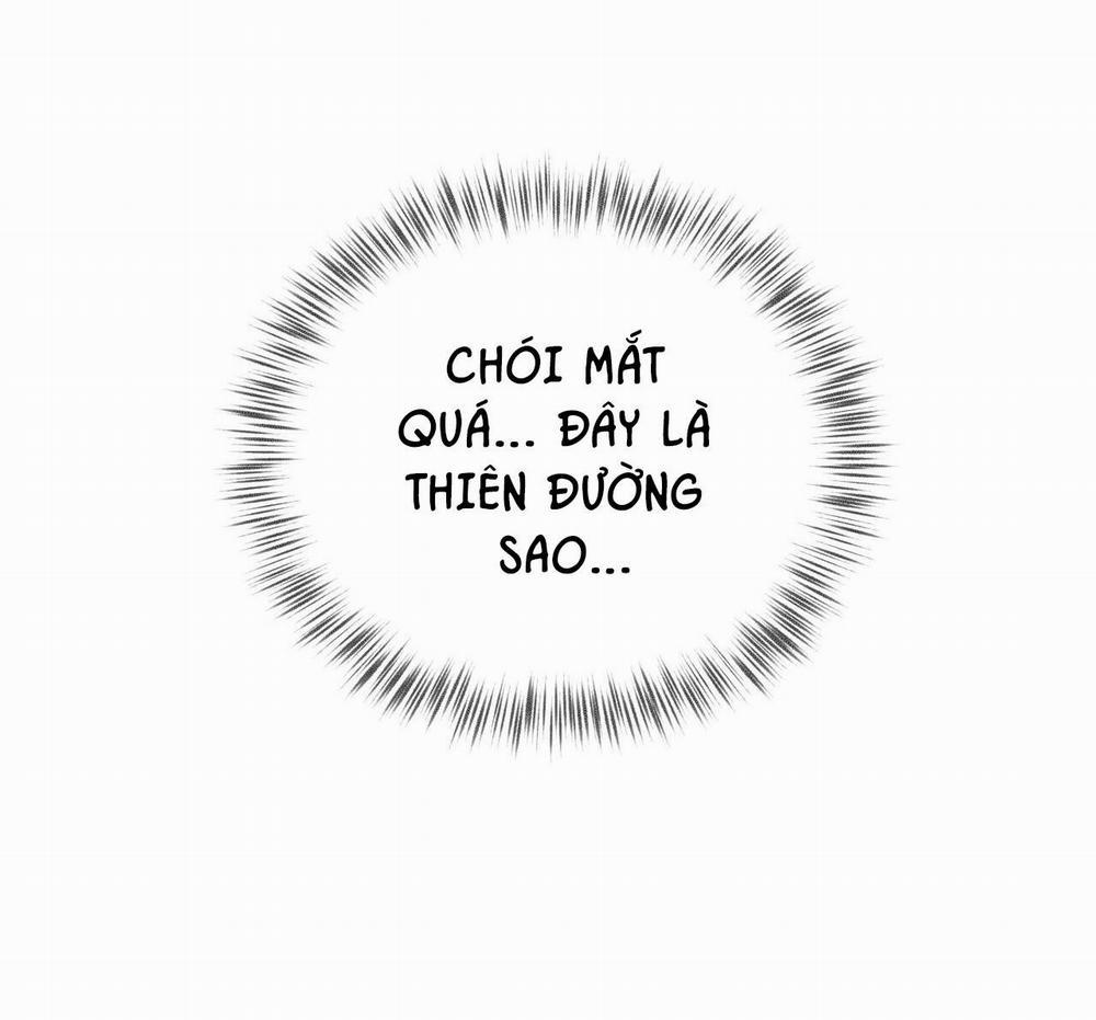 Honey Bear 29 trang 56