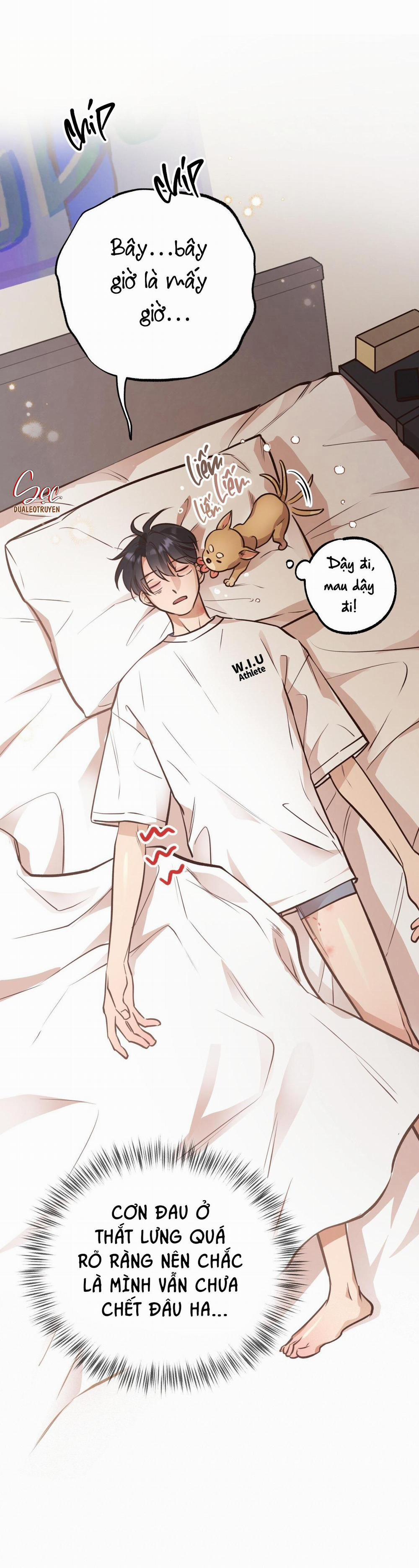 Honey Bear 29 trang 57