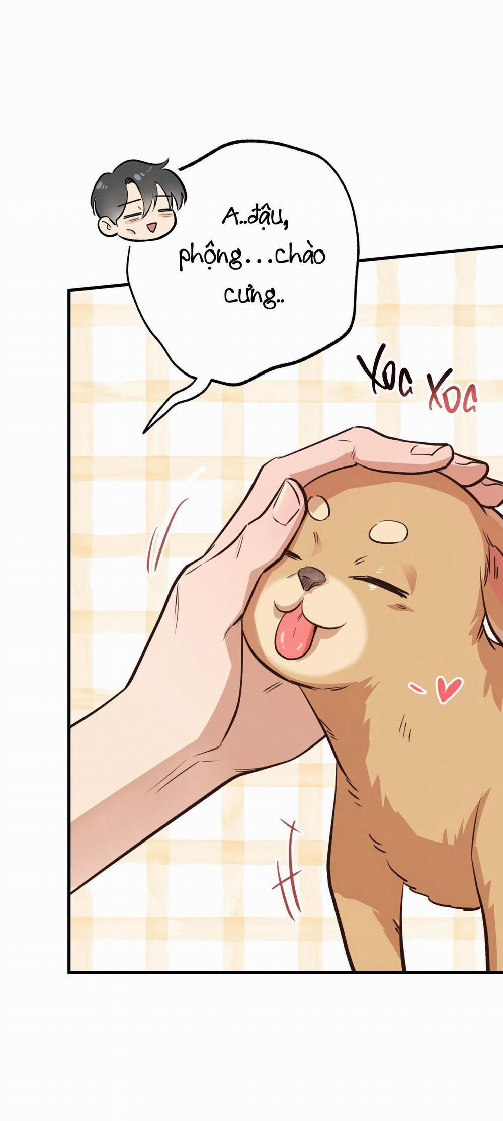 Honey Bear 29 trang 58