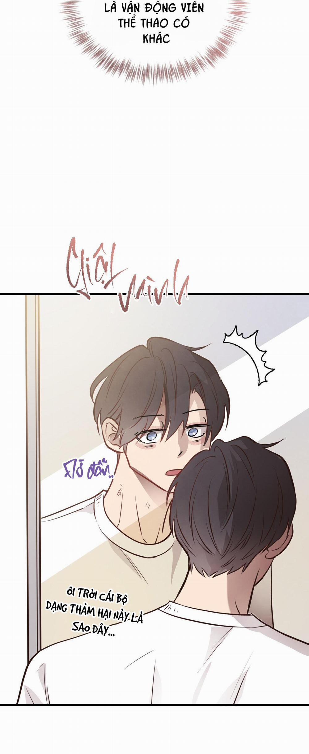 Honey Bear 29 trang 68